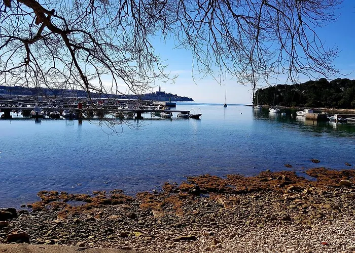 Martin Rovinj