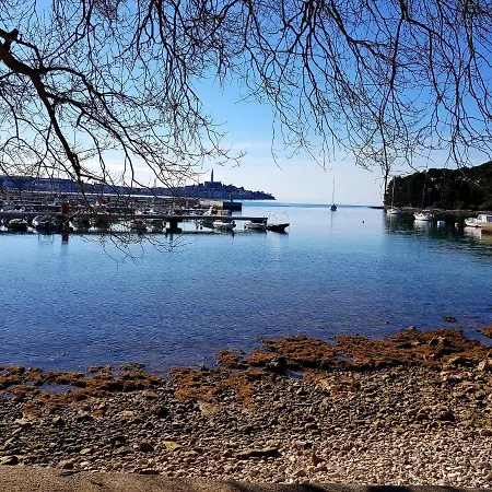 Martin Rovinj
